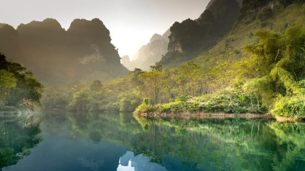 可靠性绿色